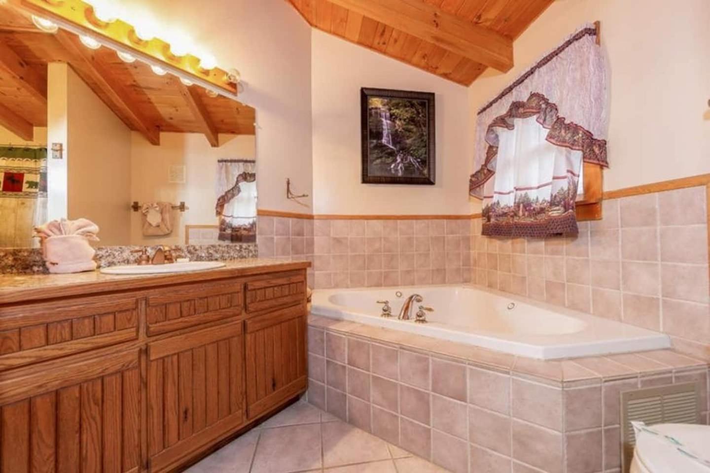 Pigeonforge Cabin Game Roomdog Friendlyhot Tub Піджен-Фордж Екстер'єр фото